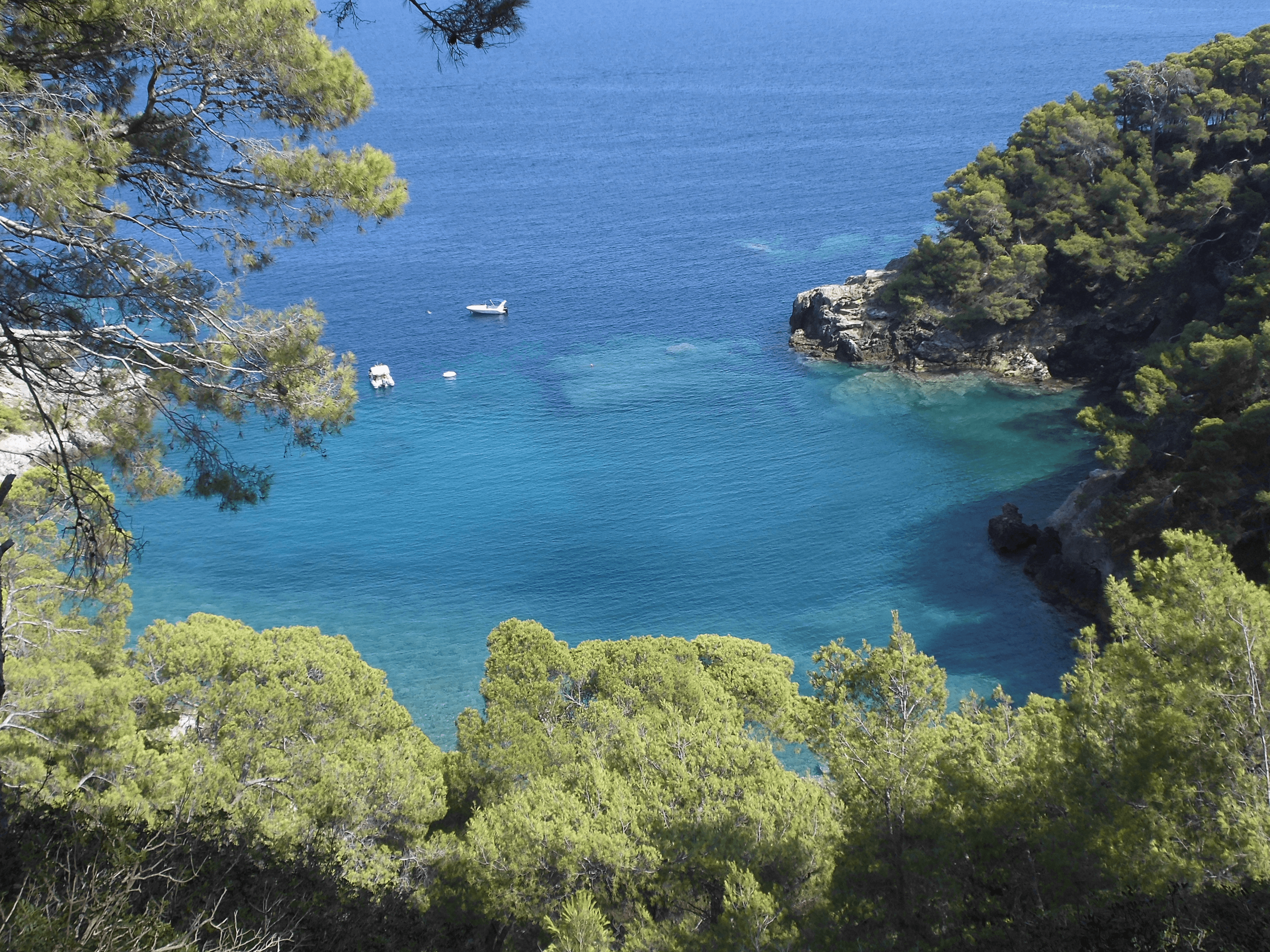 Prenota il tuo tour alle Tremiti