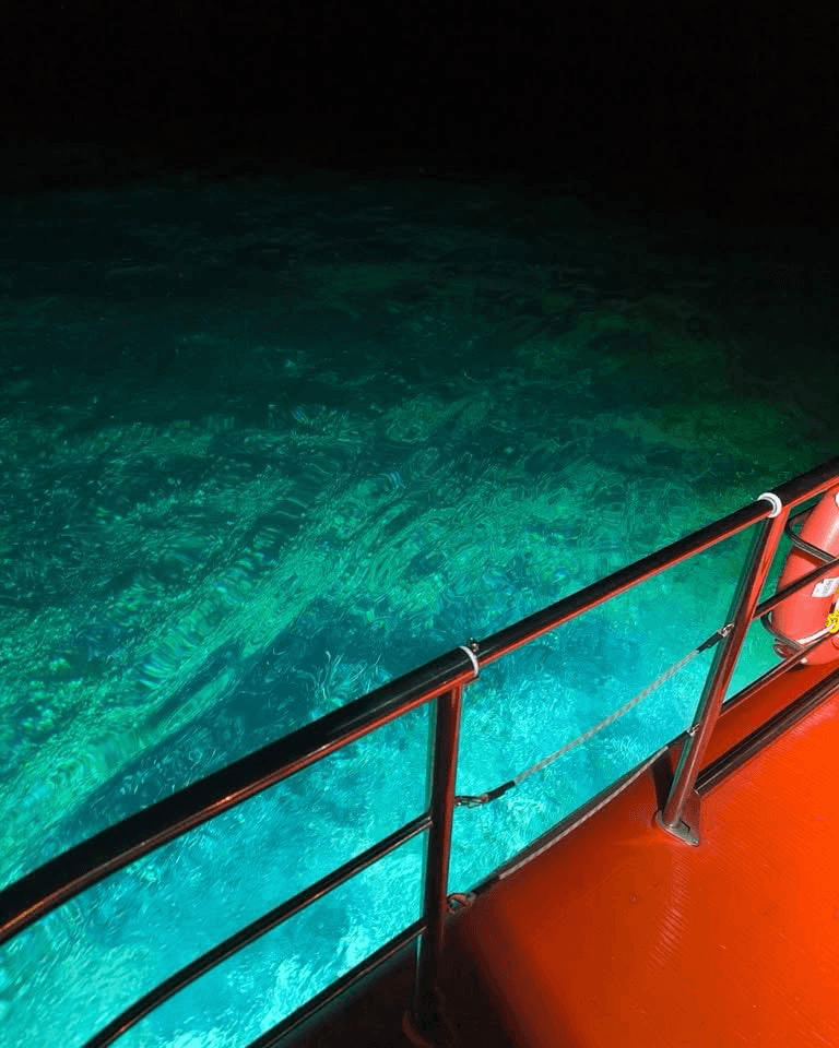 Fondali visibili dal battello